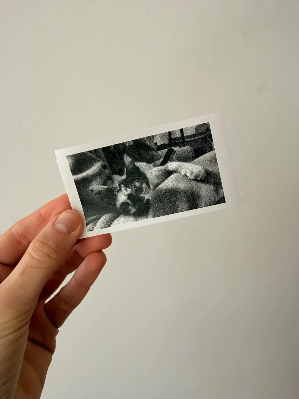 Review Card